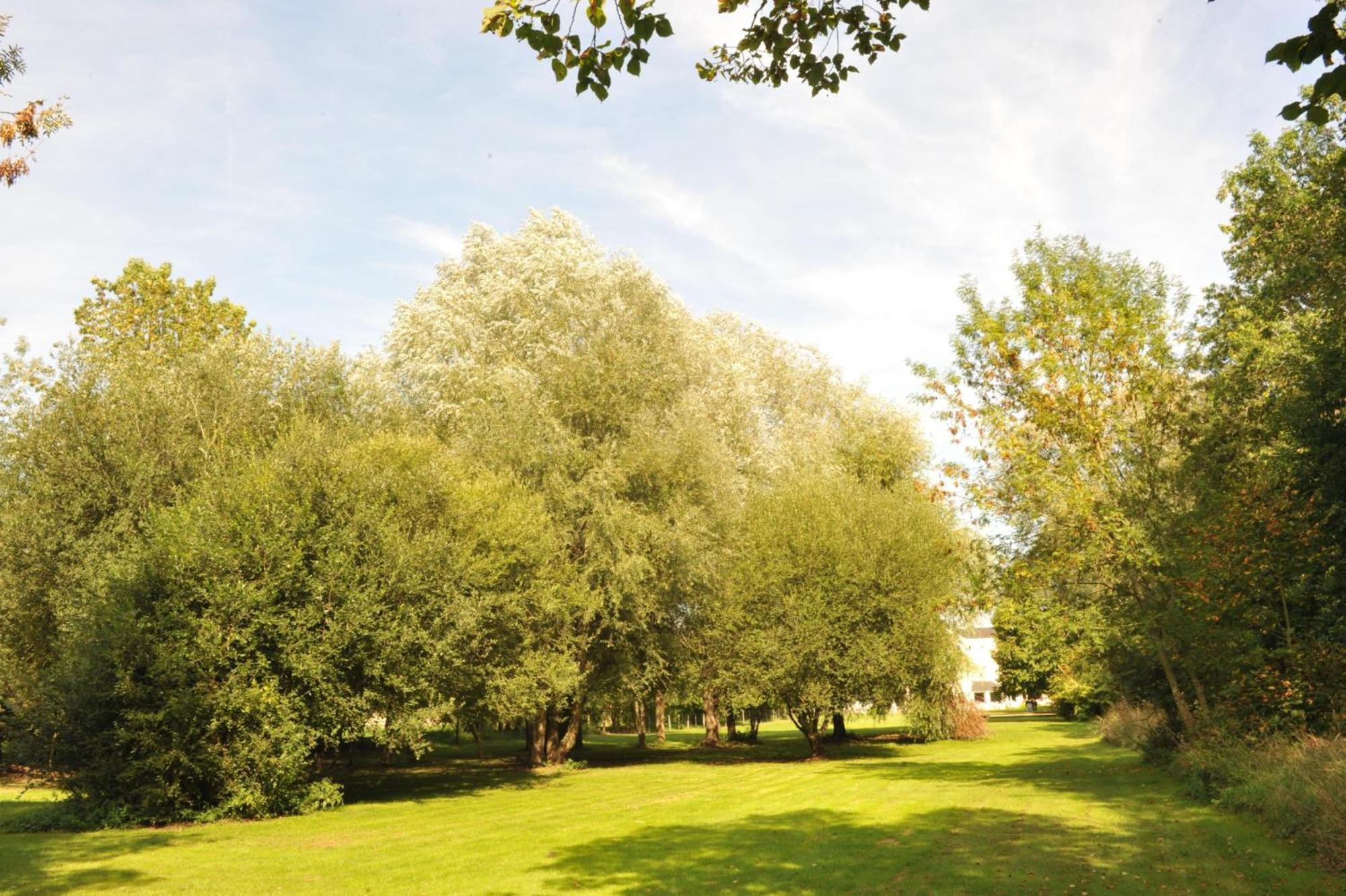 Logis Hotel Le Relais Du Moulin Valencay Bagian luar foto